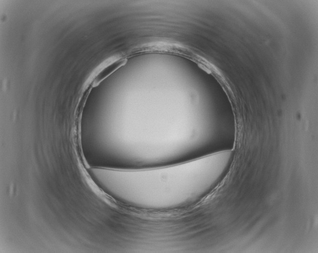 X0000085761042200703160858