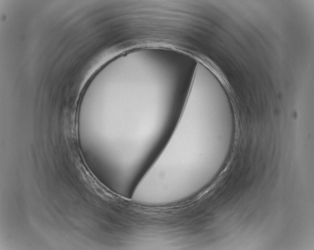 X0000085761052200703160858