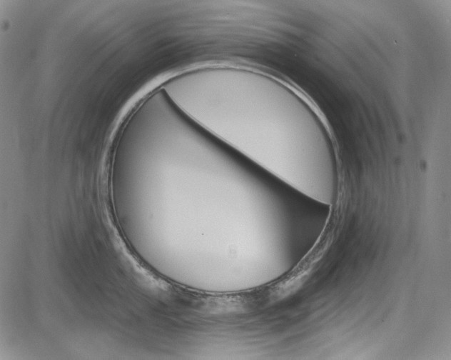 X0000085761053200703160858