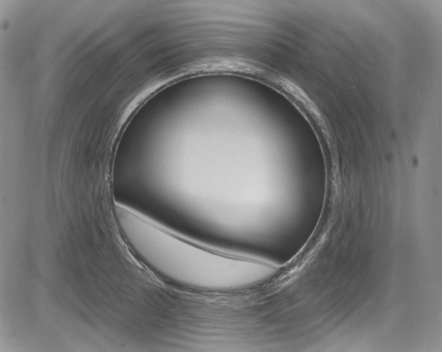 X0000085761089200703160857