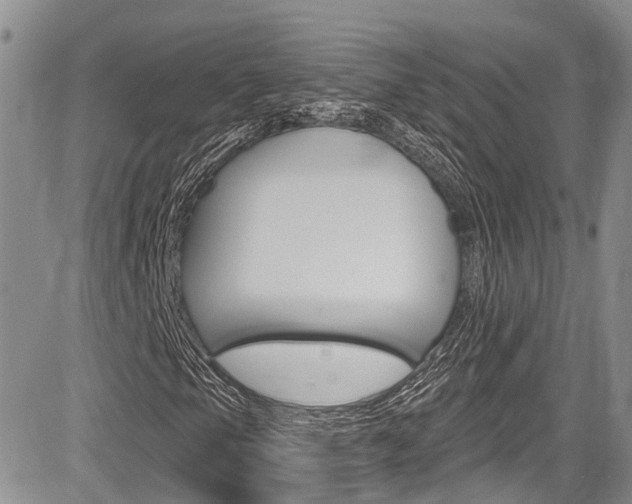 X0000085761105200703160856