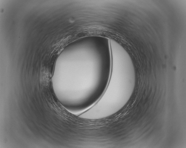 X0000085761108200703160856