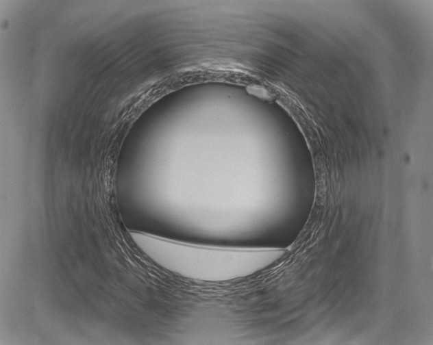X0000085761110200703160856