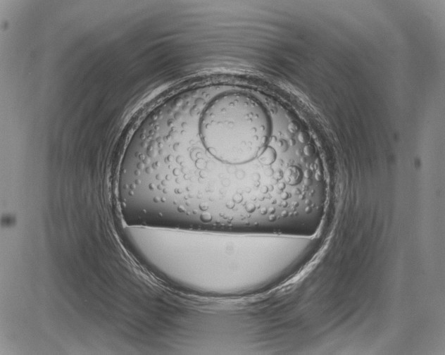 X0000085761113200703160856