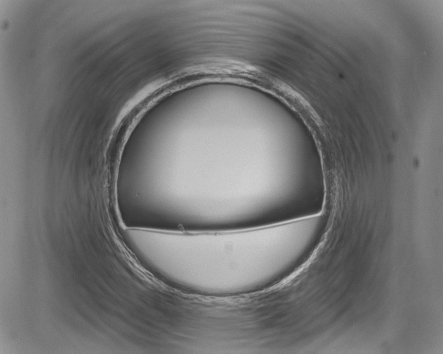 X0000085761114200703160856