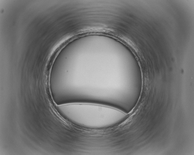 X0000085761119200703160856