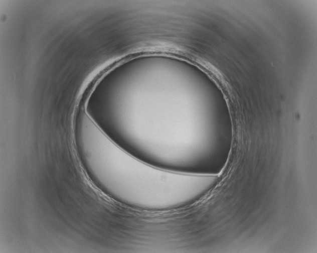 X0000085761120200703160856