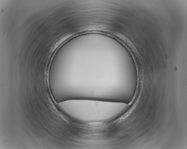 X0000085761121200703160856