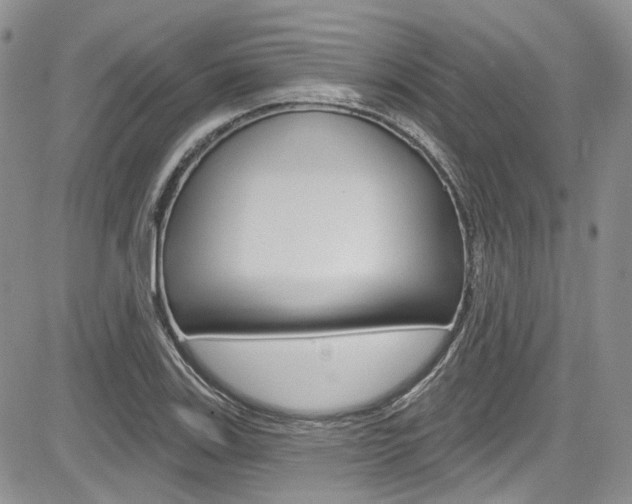 X0000085761123200703160856