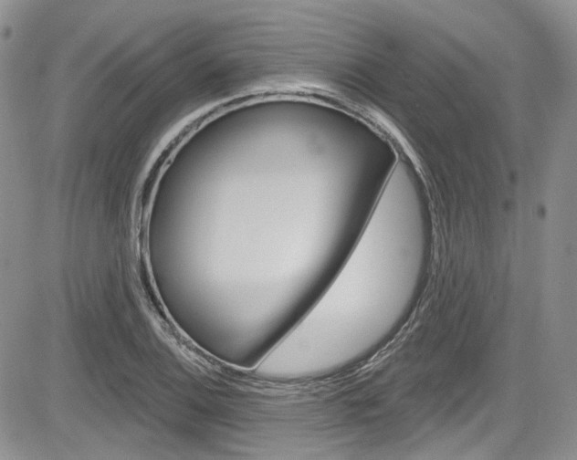 X0000085761124200703160856