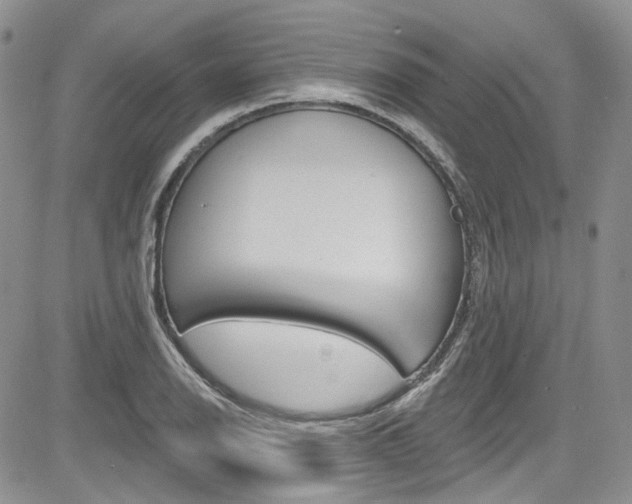 X0000085761126200703160856
