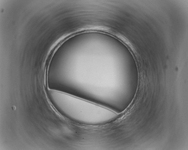 X0000085761127200703160856