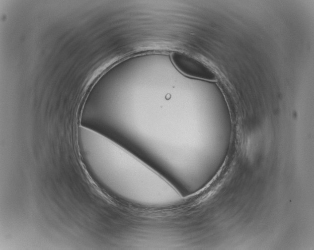 X0000085761129200703160856