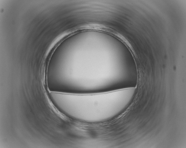 X0000085761131200703160856