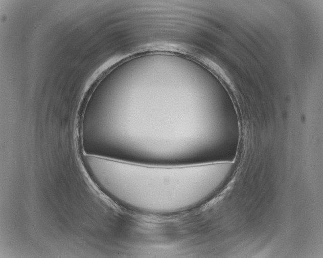 X0000085761133200703160856
