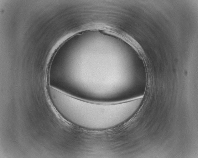 X0000085761144200703160857