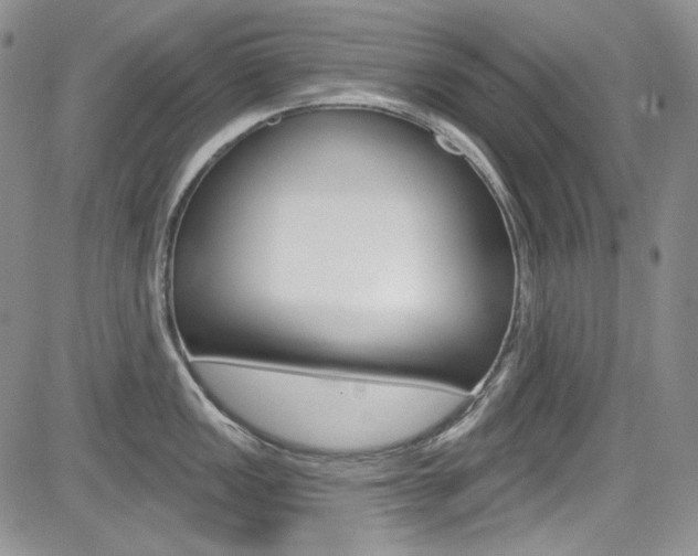 X0000085761149200703160857