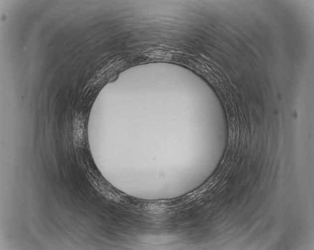 X0000085761154200703160856