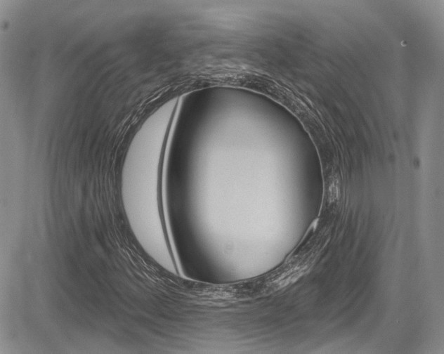 X0000085761156200703160856