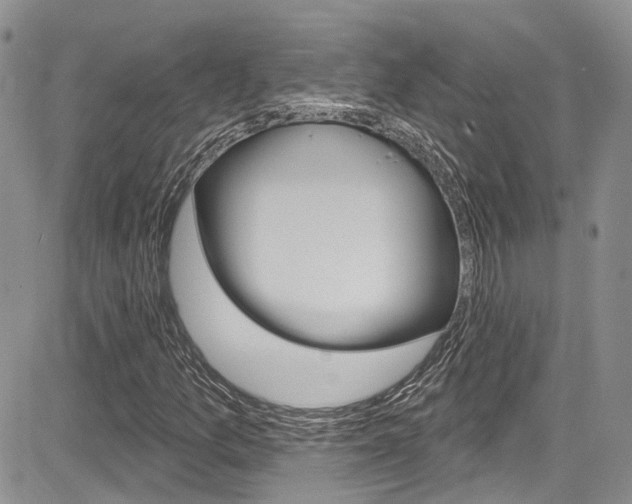 X0000085761157200703160856
