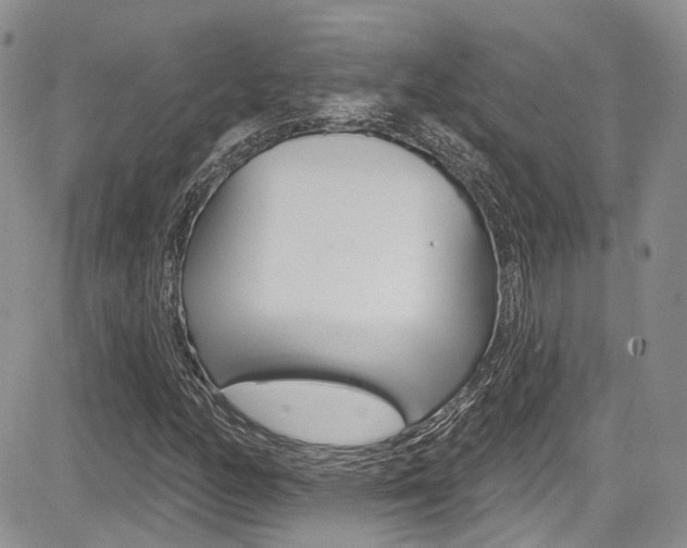 X0000085761158200703160856