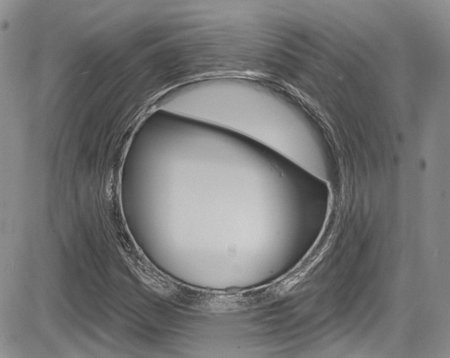 X0000085761161200703160856