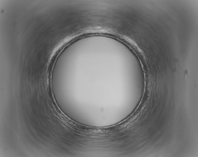 X0000085761167200703160856