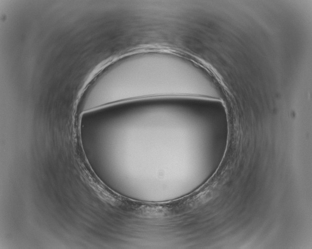X0000085761168200703160856