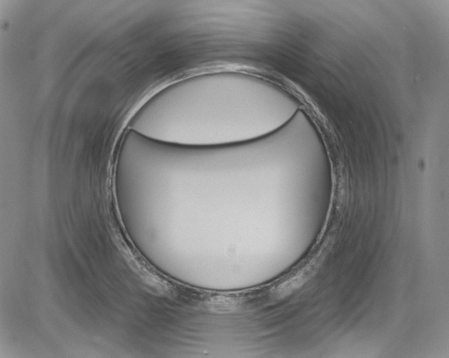 X0000085761178200703160856