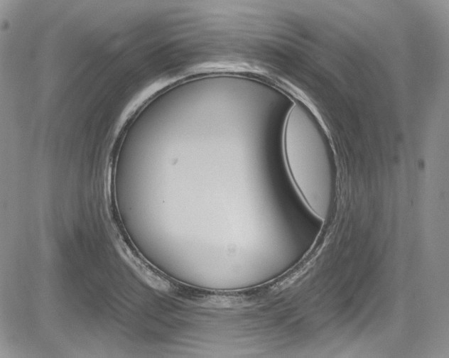 X0000085761179200703160856