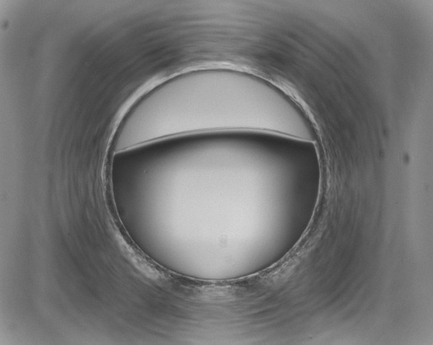 X0000085761181200703160856