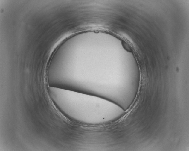 X0000085761182200703160856