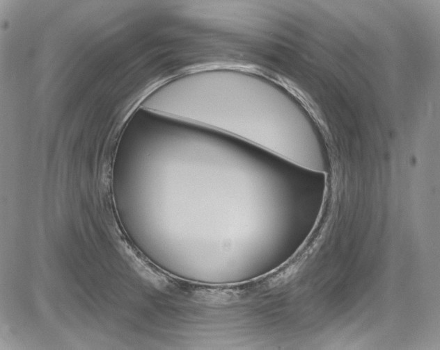 X0000085761185200703160855