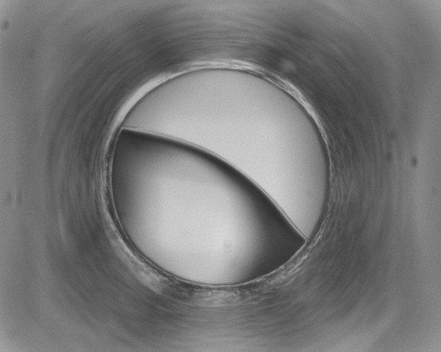 X0000085761187200703160855