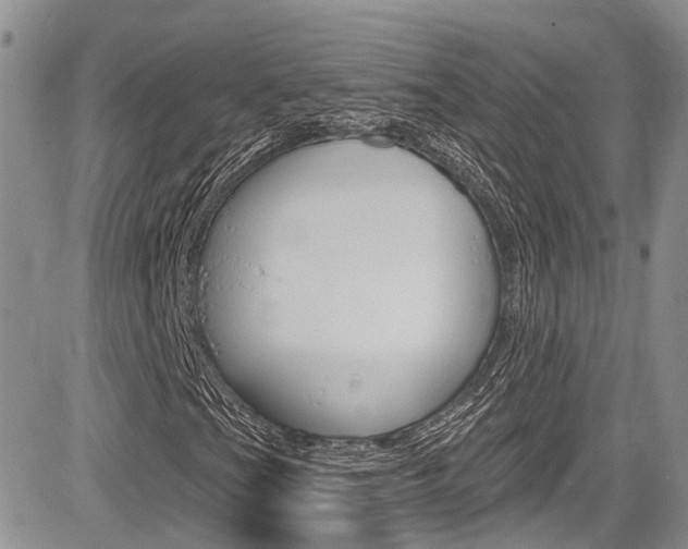 X0000085761201200703160854