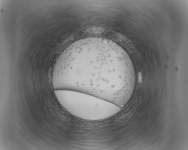 X0000085761203200703160854