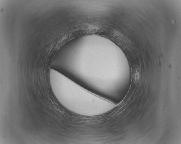 X0000085761204200703160854