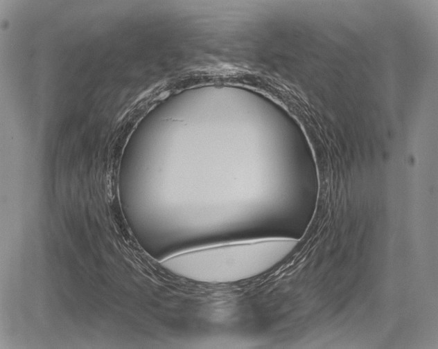 X0000085761205200703160854