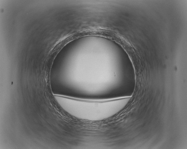 X0000085761206200703160855
