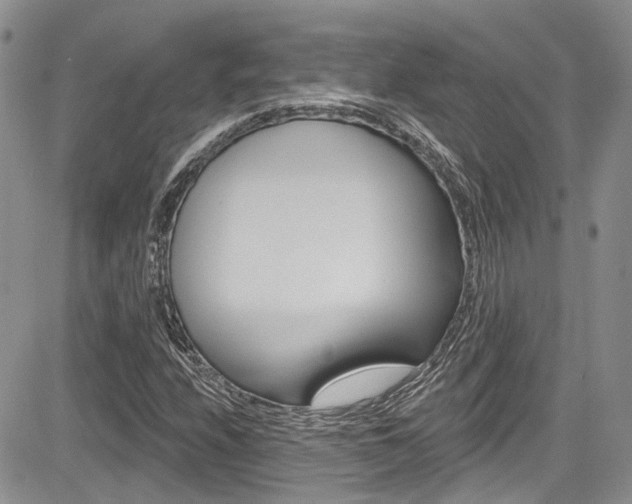 X0000085761208200703160855