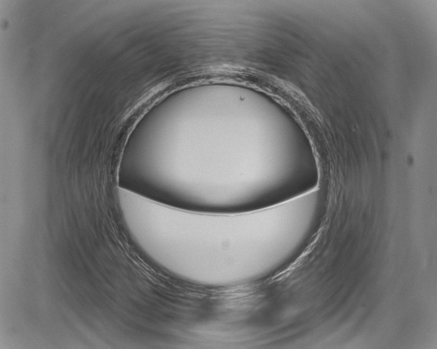 X0000085761209200703160855