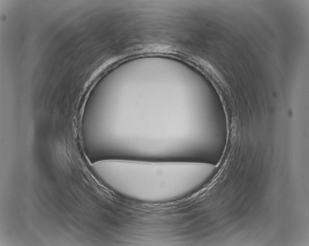 X0000085761212200703160855
