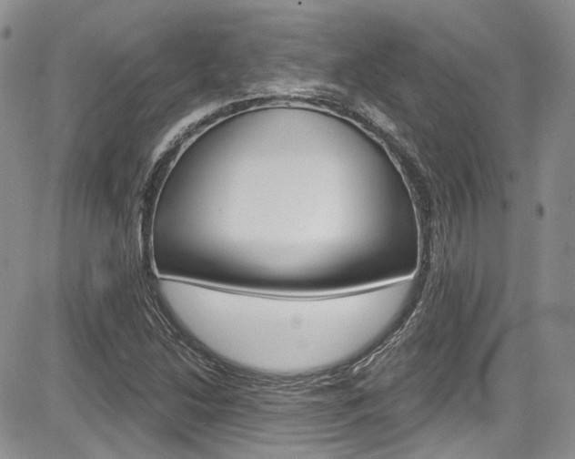 X0000085761214200703160855
