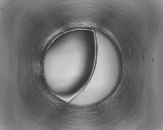 X0000085761218200703160855