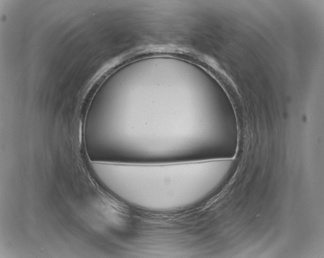 X0000085761221200703160855