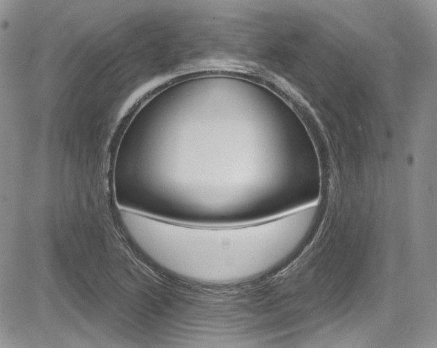 X0000085761222200703160855