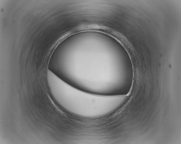 X0000085761225200703160855