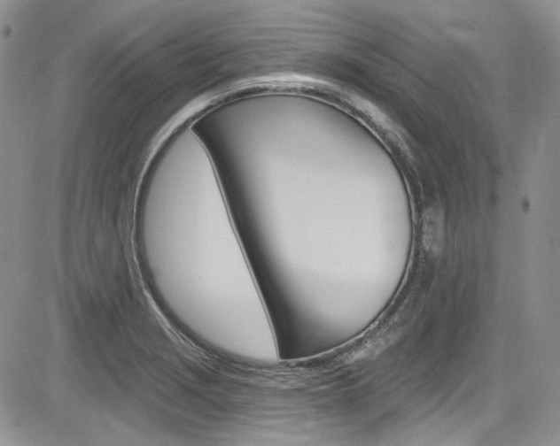 X0000085761229200703160855