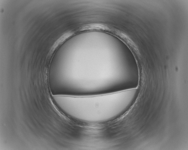 X0000085761233200703160855