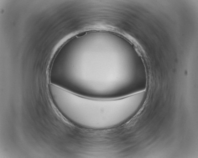 X0000085761238200703160855